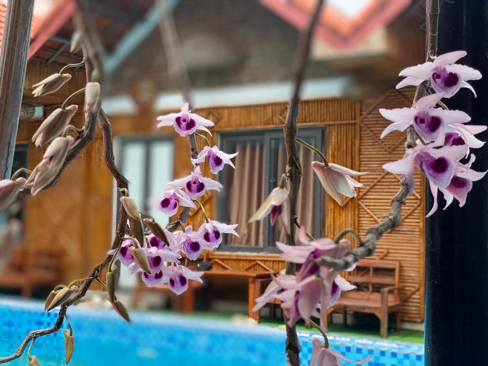 Tam Coc Charming Bungalow Ніньбінь Екстер'єр фото